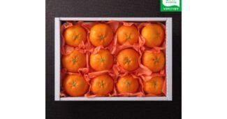 레드향 대신 비교해 드립니다! 개이득상품 비교분석추천