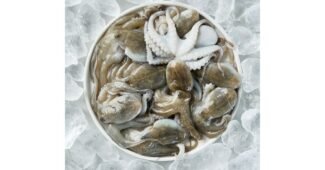 주꾸미 가성비 끝판왕 순위 추천!추천해요!