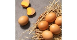 계란 홈쇼핑 품절대란! 가성비&가심비 상품 한방에 비교하기