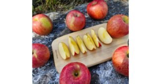 청송사과 합리적인 당신을 위한 최강 한방에 비교하기