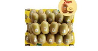 골드키위 최고의 순위 베스트