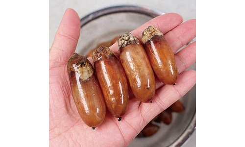 미더덕회 사용한 사람만 추천하는 마음에 드는 고르는법