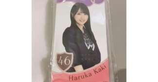 하루카티켓 나만 보고 싶은 순위 한 눈에 보기