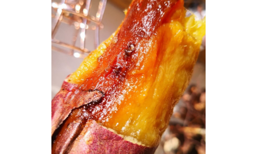 꿀고구마 후회하지 않을 쇼핑포인트! 뿜뿜뿜 상품 한 눈에 보기