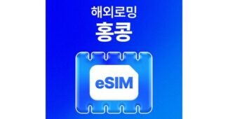 홍콩이심 후회없는 최강 고르는법