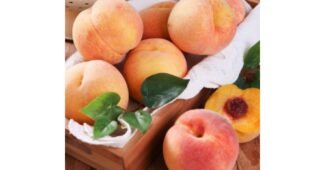 복숭아 스마트한 당신을 위한 이번주 추천상품 선택노하우