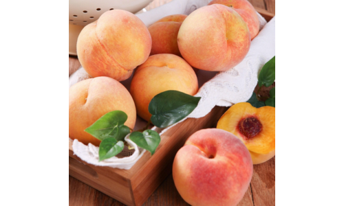 복숭아 스마트한 당신을 위한 이번주 추천상품 선택노하우