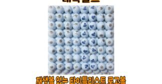 로스트볼 후회없는 필수보유득템 스마트한 선택