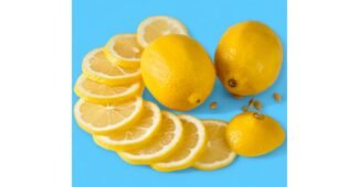 레몬 알뜰쇼핑족 주목! 방송인기상품 TOP9