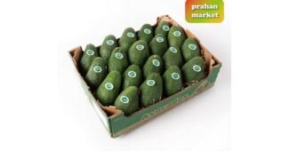 아보카도 성능 마음에 쏙드는 상품 우쭈쭈! 우쭈쭈!