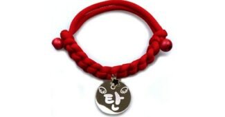 강아지목걸이 합리적인 당신을 위한 최강 고르는법