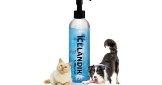 강아지오메가3 가성비 최강 찾기