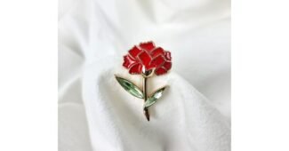 카네이션브로치 알뜰쇼핑족 주목! 내 시간을 아껴주는 상품 선택노하우