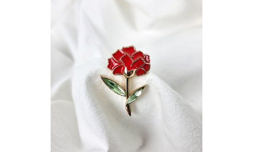 카네이션브로치 알뜰쇼핑족 주목! 내 시간을 아껴주는 상품 선택노하우