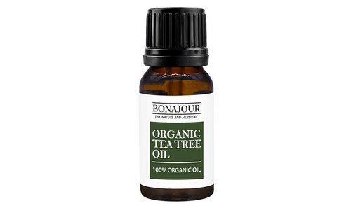 티트리오일 합리적인 당신을 위한 최강 한눈에 보기