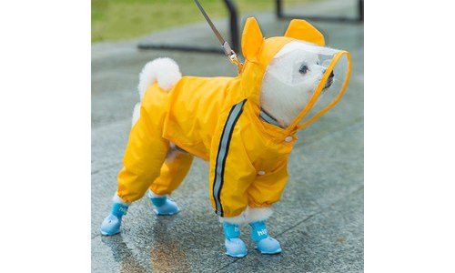 강아지우비 반드시 체크해 보세요!! 진짜 좋은 상품 적극추천