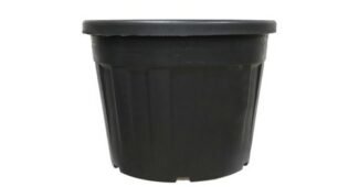 대형화분 신뢰할 수 있는 추천코스! 최저가금액 상품 빈틈없는비교