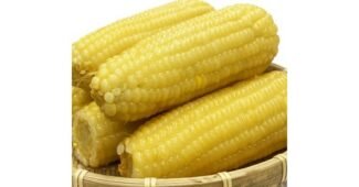 옥수수 가성비 끝판왕 최저가금액 상품 1타3피 추천!추천!