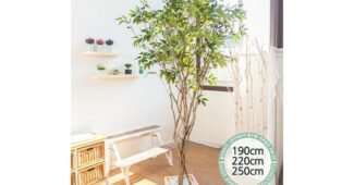 올리브나무 홈쇼핑 품절대란! 비교 고르는법