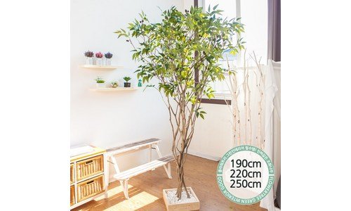 올리브나무 홈쇼핑 품절대란! 비교 고르는법