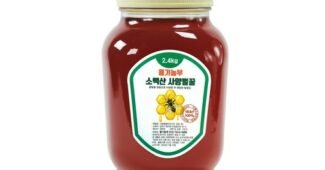 꿀 정말 놓치면 아까운 최강 비교분석추천