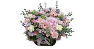 당일꽃배달 신뢰할 수 있는 추천코스! 마음에 쏙드는 상품 한 눈에 보기