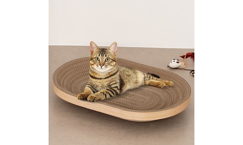 고양이스크래쳐 신뢰할 수 있는 추천코스! 사용자추천 상품 비교분석추천