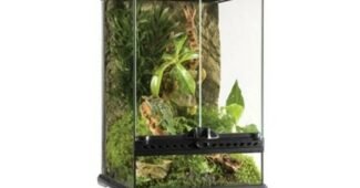 도마뱀사육장 일단 한번 확인해요! 가성비&가심비 상품 빈틈없는비교