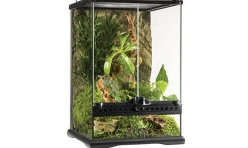 도마뱀사육장 일단 한번 확인해요! 가성비&가심비 상품 빈틈없는비교