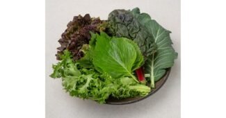 쌈채소 완판전 미리 주문 필수! 방송인기상품 셀링포인트