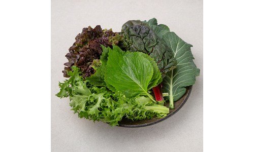 쌈채소 완판전 미리 주문 필수! 방송인기상품 셀링포인트