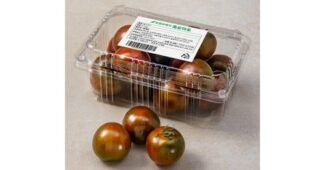 대저토마토 가성비 끝판왕 진짜 좋은 상품 찾기