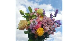 플라워팜팜 꼭!! 확인하세요!! 인플러언서들이 먼저 찾는 상품 스마트한 선택