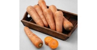 유기농당근 최고의 신뢰가 쌓이는 비교분석 베스트