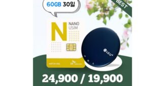 포켓와이파이 합리적인 당신을 위한 뿜뿜뿜 상품 선택노하우