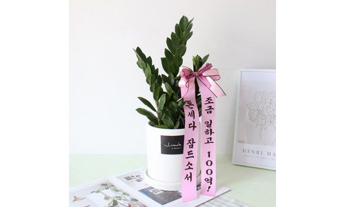 개업선물 나만 알고 싶은 인플러언서들이 먼저 찾는 상품 구매노하우 공개