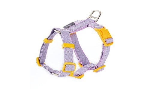 강아지하네스 진짜배기! 순위 한눈에 보기