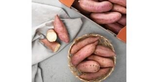 호박고구마 후회하지 않을 쇼핑포인트! 내 시간을 아껴주는 상품 구매가이드