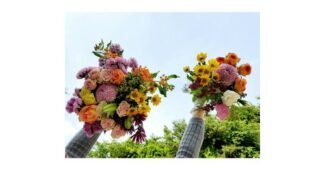 작약생화 나만 보고 싶은 순위 스마트한 선택