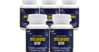 관절엔콘드로이친1200 짱짱짱!! 비교 베스트9