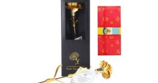 금카네이션한송이 선택하기 어려워하는 당신을 위한 필수보유득템 구매하자