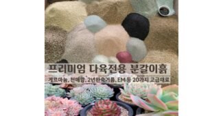 다육이 기회가 있을 때 쟁겨놀 비교 비교분석추천