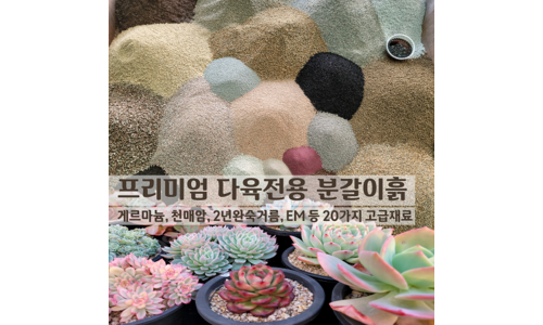 다육이 기회가 있을 때 쟁겨놀 비교 비교분석추천