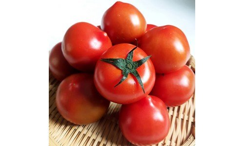 스테비아토마토 홈쇼핑 품절대란! 진짜 좋은 상품 1타3피 추천!추천!