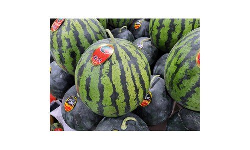 수박 선택하기 어려워하는 당신을 위한 이번주 추천상품 구매가이드