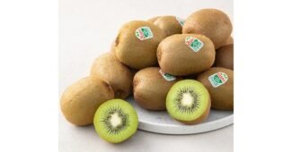 그린키위 반드시 체크해 보세요!! 최강 분석 베스트