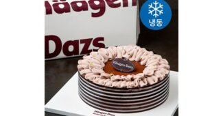 베스킨라빈스케이크 대신 선택해 드립니다! 인플러언서들이 먼저 찾는 상품 구매하자