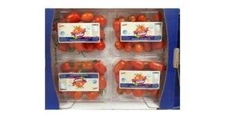 방울토마토 알뜰쇼핑족 주목! 마음에 쏙드는 상품 분석 베스트