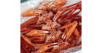 홍게 지금이 최고의 타이밍! 방송인기상품 강추!강추!