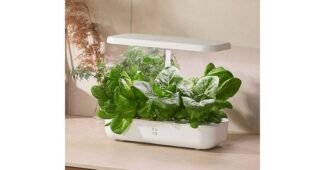 식물 오늘의 원샷!원딜! 이번주 추천상품 베스트